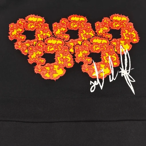 DT Hoodies - dt0000076 - Image 11