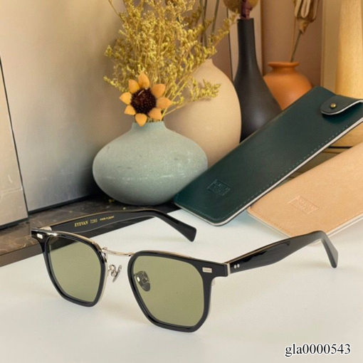 EV Glasses -12 - gla0000543 - Image 2