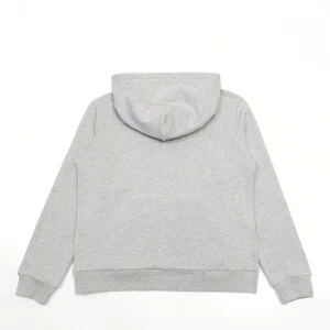 Alternative view of DT Hoodies - 116 - dt0000116